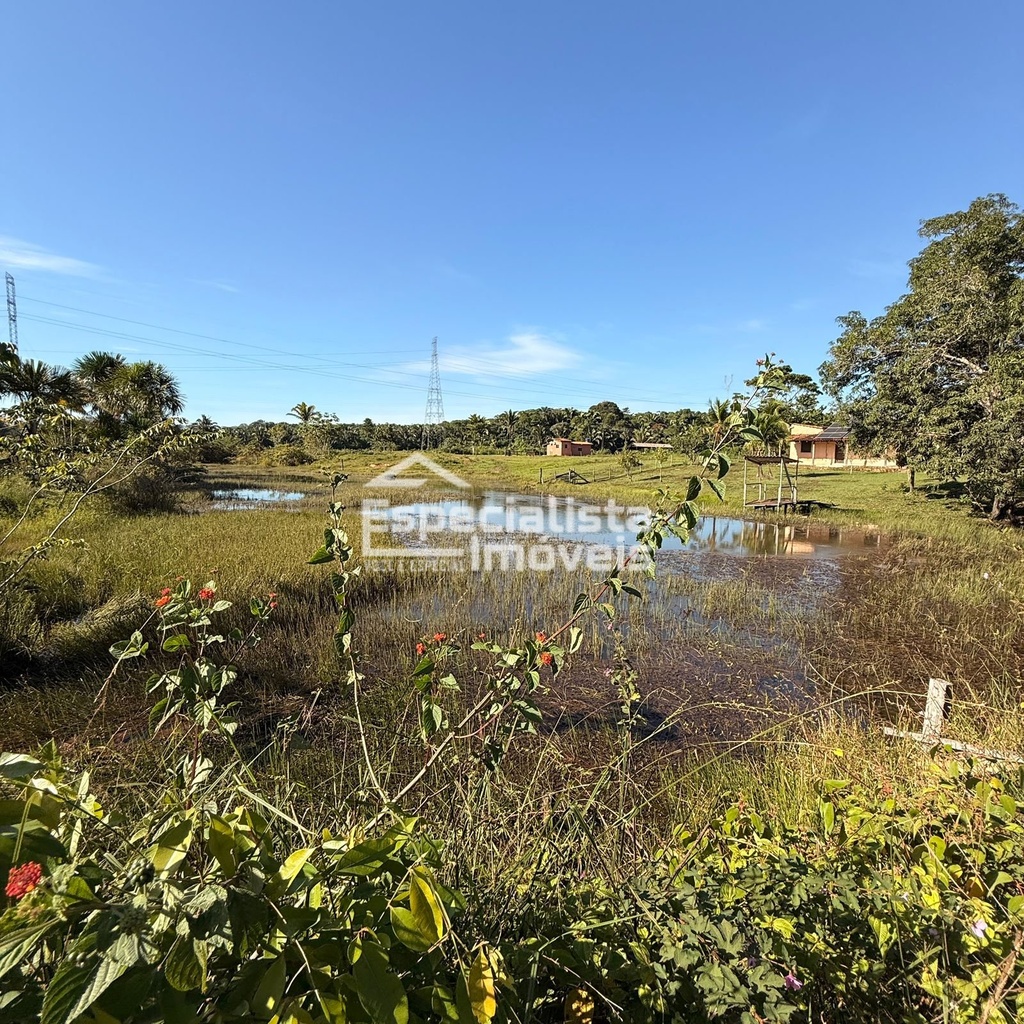commercial-/-agricultural-3-quartos-60000m2-area-rural-de-porto-velho-porto-velho-ro