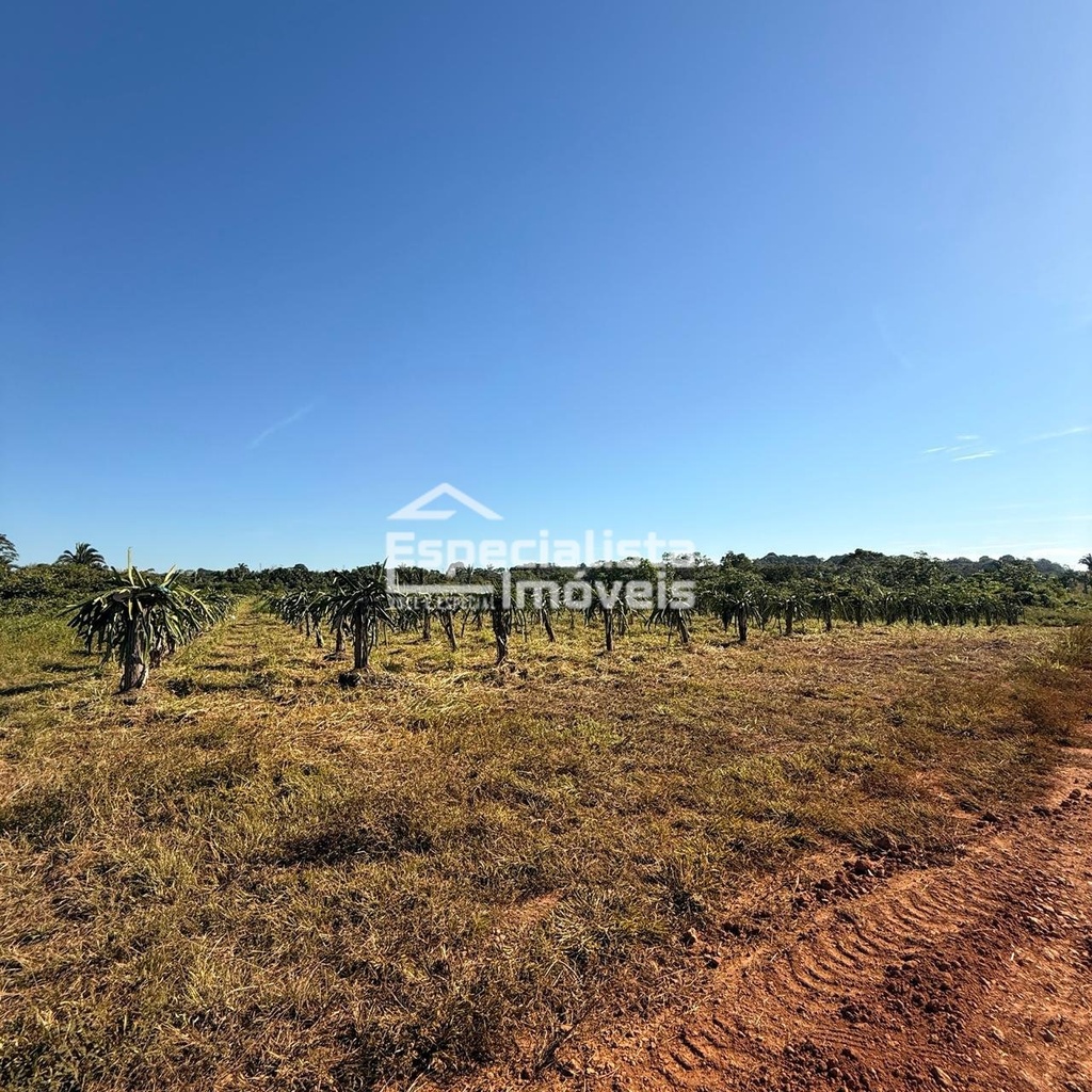 commercial-/-agricultural-3-quartos-60000m2-area-rural-de-porto-velho-porto-velho-ro