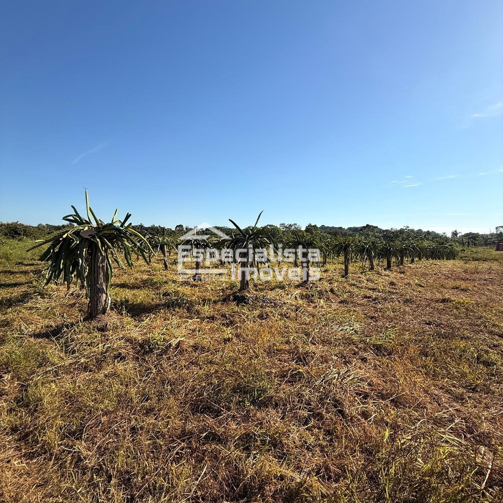 commercial-/-agricultural-3-quartos-60000m2-area-rural-de-porto-velho-porto-velho-ro