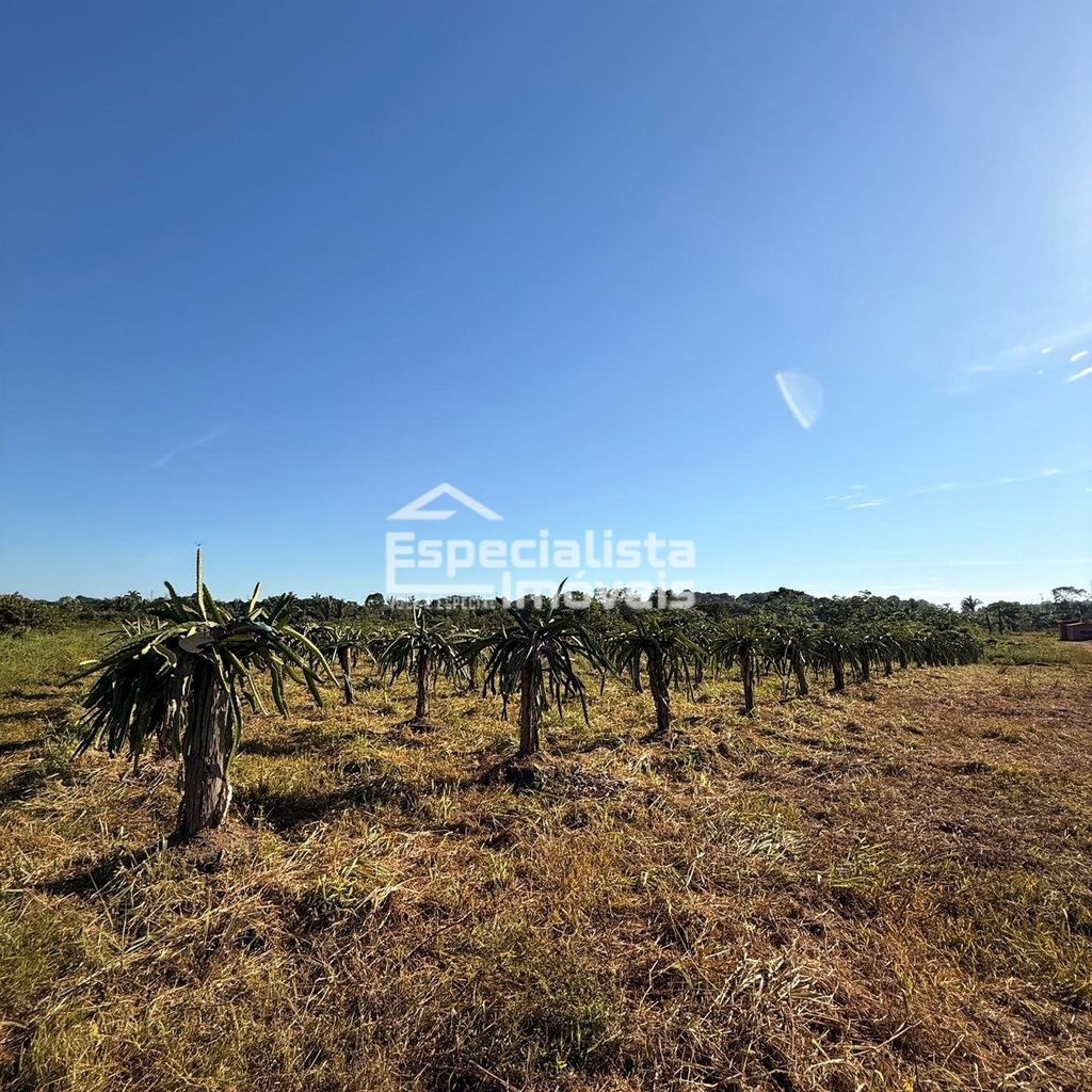 commercial-/-agricultural-3-quartos-60000m2-area-rural-de-porto-velho-porto-velho-ro