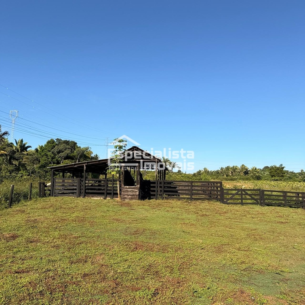 commercial-/-agricultural-3-quartos-60000m2-area-rural-de-porto-velho-porto-velho-ro