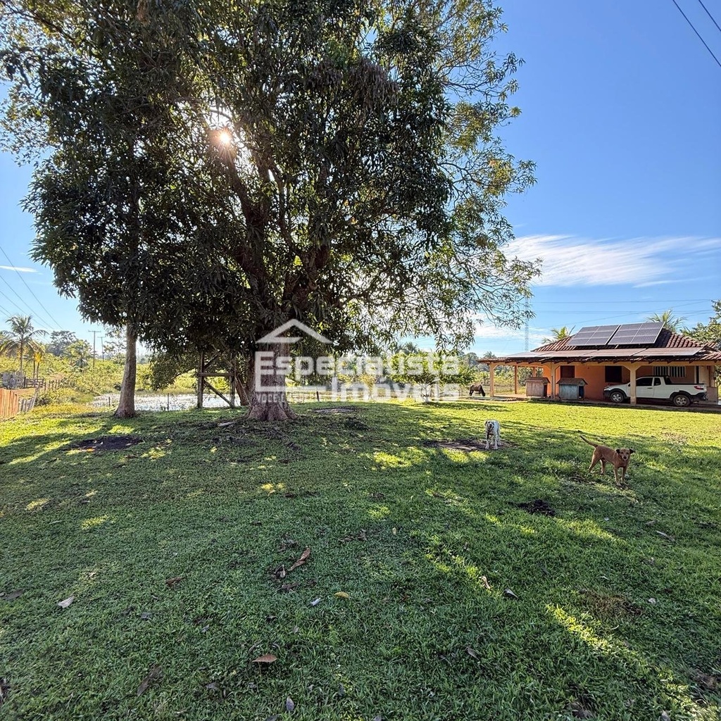 commercial-/-agricultural-3-quartos-60000m2-area-rural-de-porto-velho-porto-velho-ro