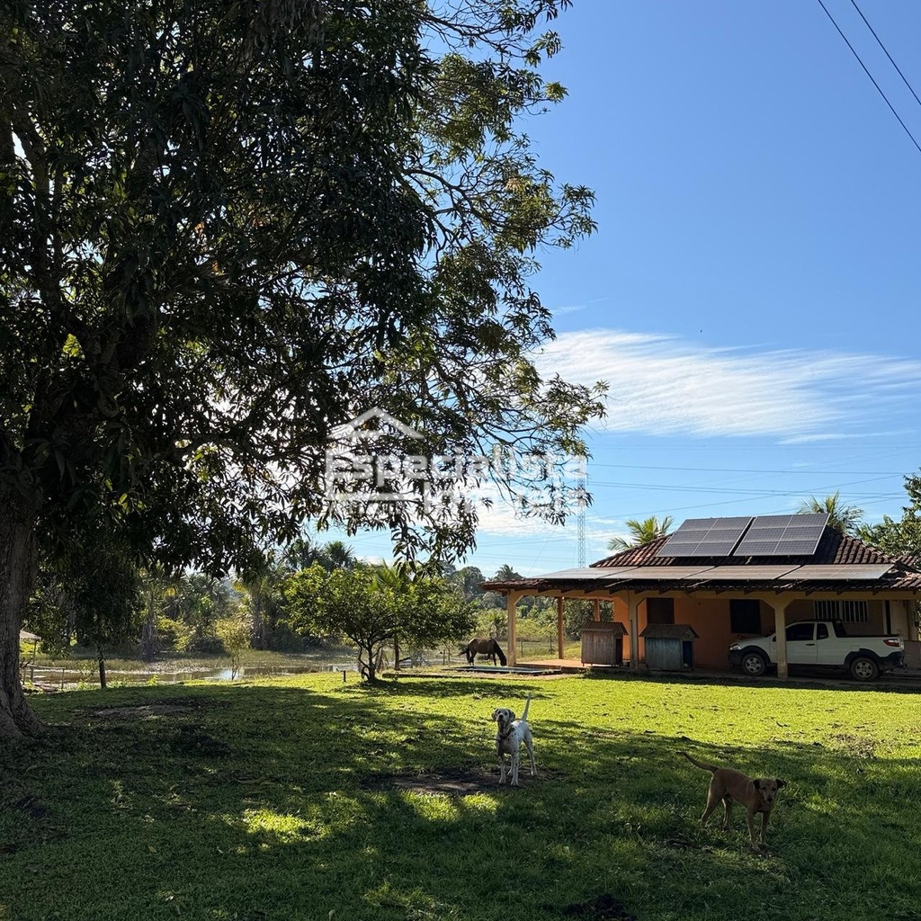 commercial-/-agricultural-3-quartos-60000m2-area-rural-de-porto-velho-porto-velho-ro
