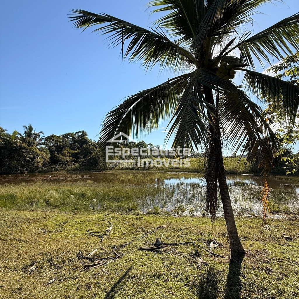commercial-/-agricultural-3-quartos-60000m2-area-rural-de-porto-velho-porto-velho-ro