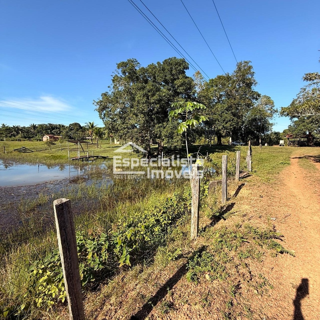 commercial-/-agricultural-3-quartos-60000m2-area-rural-de-porto-velho-porto-velho-ro