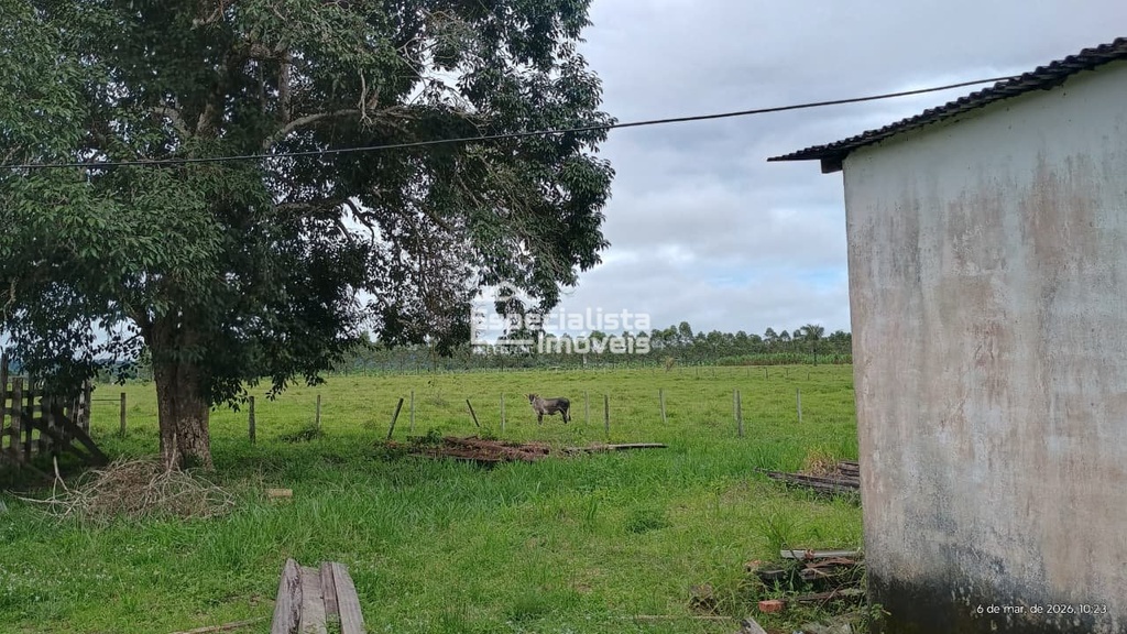 commercial-/-agricultural-150000m2-nova-mutum-parana-porto-velho-ro