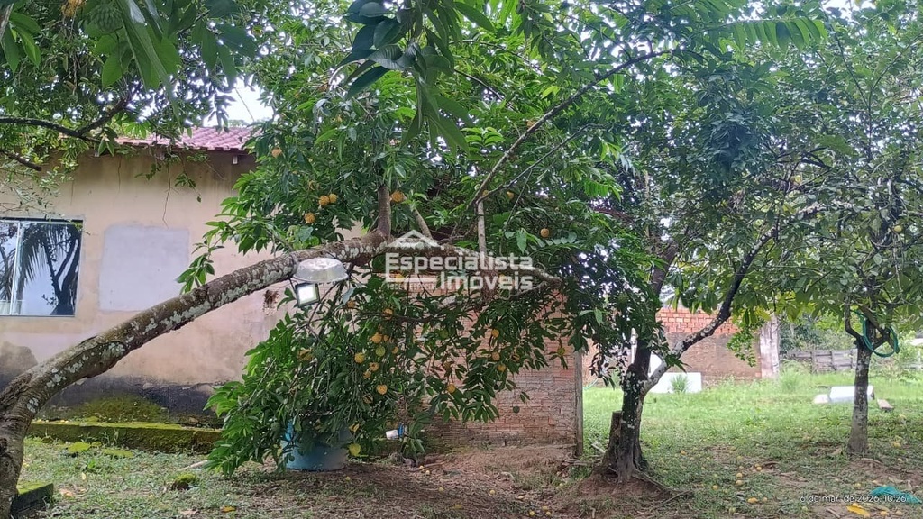 commercial-/-agricultural-150000m2-nova-mutum-parana-porto-velho-ro