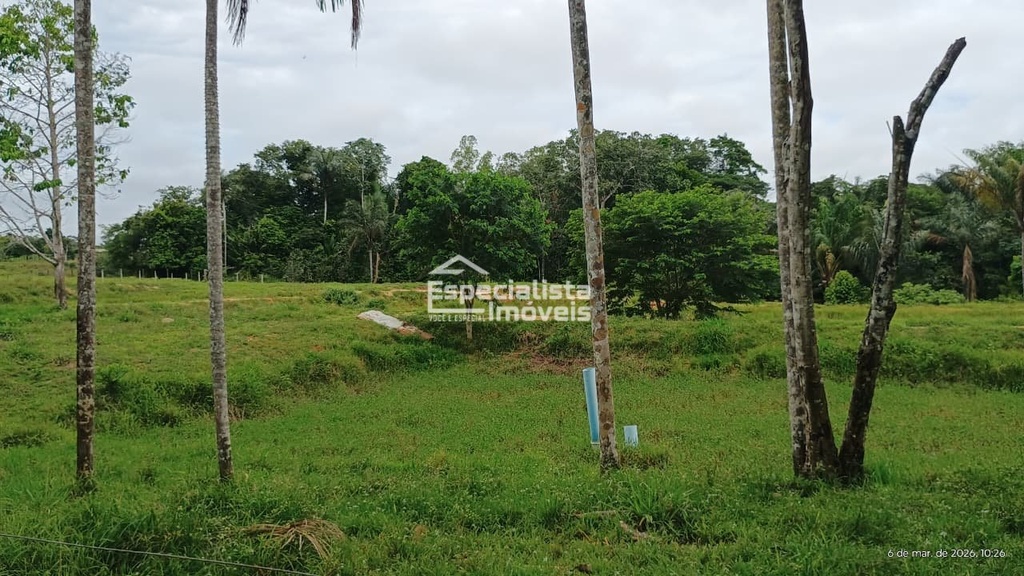 commercial-/-agricultural-150000m2-nova-mutum-parana-porto-velho-ro