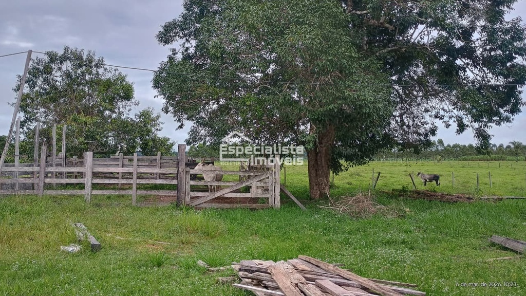 commercial-/-agricultural-150000m2-nova-mutum-parana-porto-velho-ro