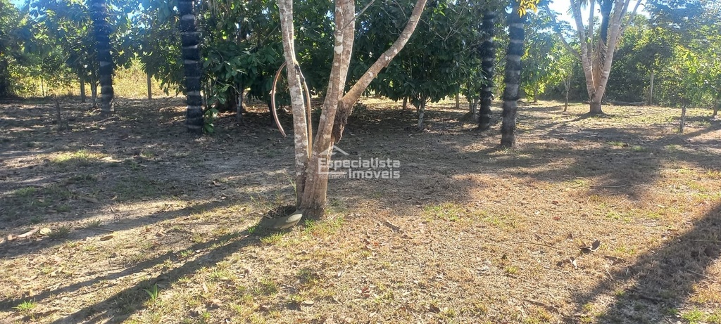 residential-/-farm-ranch-2-quartos-10000m2-jardim-santana-porto-velho-ro