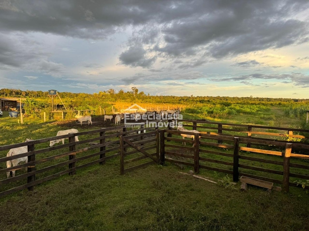 commercial-/-agricultural-100000000m2-rio-madeira-porto-velho-ro