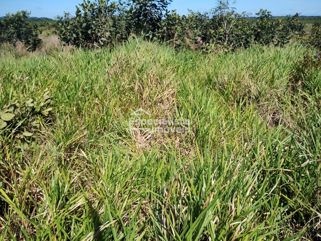commercial-/-agricultural-zona-rural-humaita-am