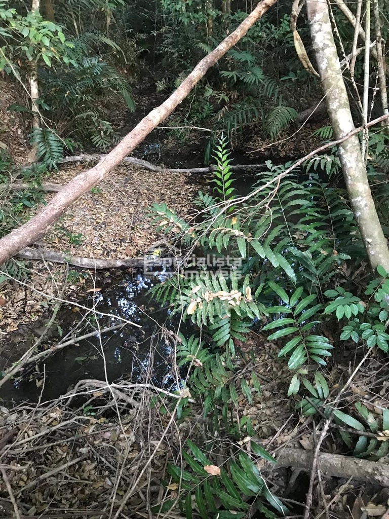 commercial-/-agricultural-zona-rural-humaita-am