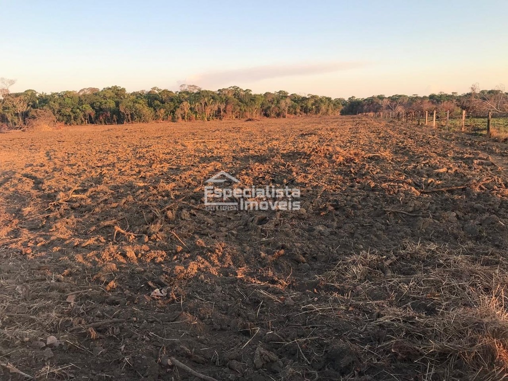commercial-/-agricultural-zona-rural-humaita-am