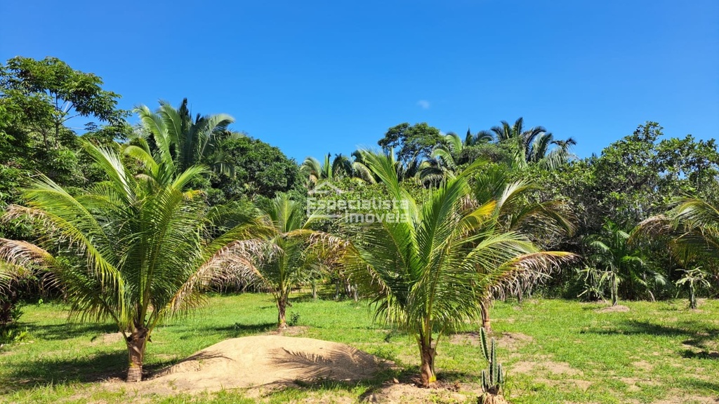 residential-/-farm-ranch-40000m2-jardim-santana-porto-velho-ro