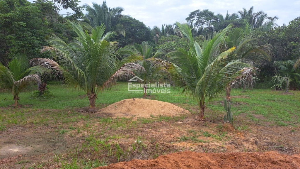 residential-/-farm-ranch-40000m2-jardim-santana-porto-velho-ro
