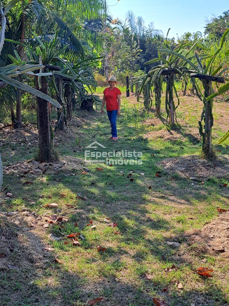 residential-/-farm-ranch-40000m2-jardim-santana-porto-velho-ro