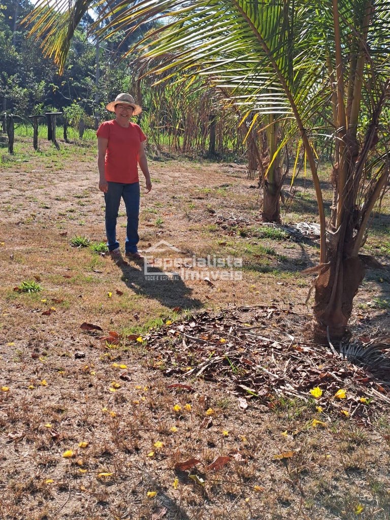 residential-/-farm-ranch-40000m2-jardim-santana-porto-velho-ro